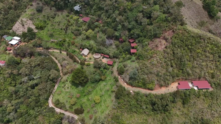 The Ultimate Guide to a Safe Ayahuasca Retreat in Colombia 2025