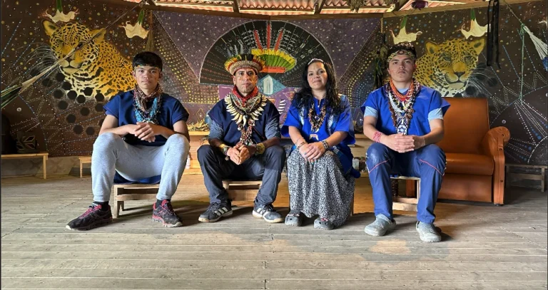 ayahuasca safety