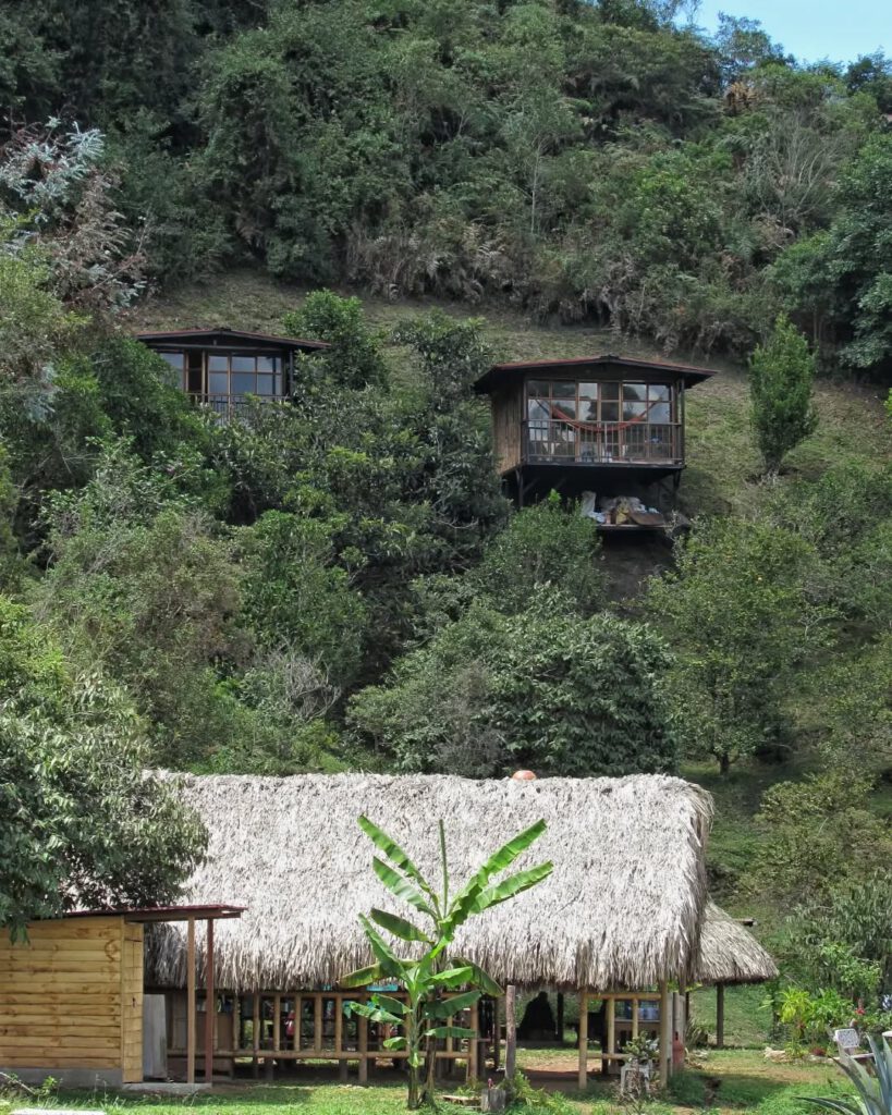 ayahuasca retreat in colombia