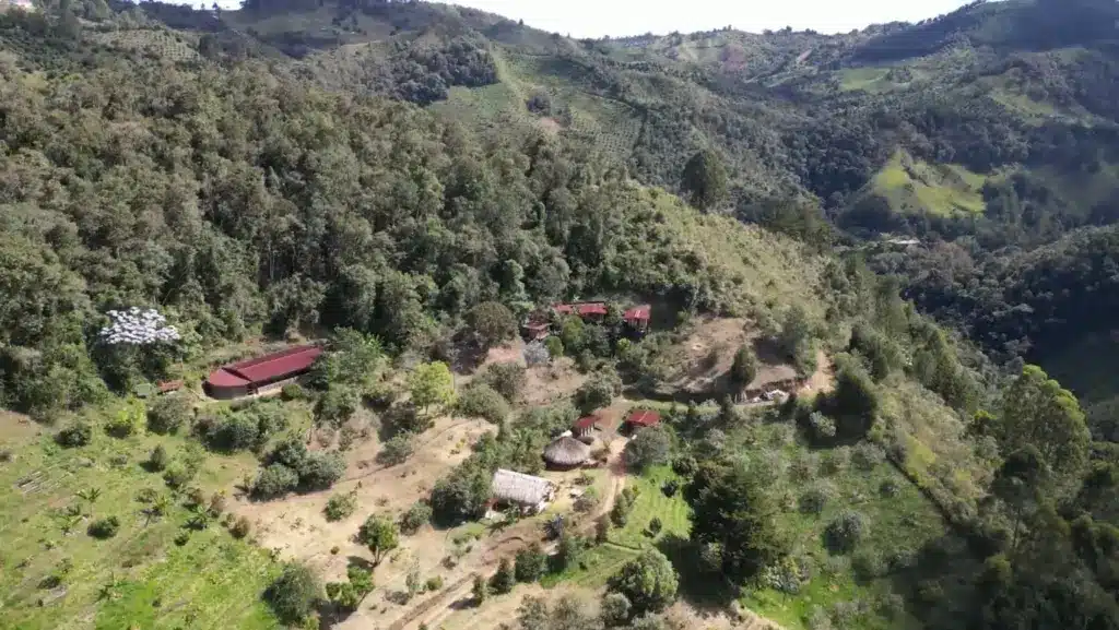 ayahuasca in medellin with camino al sol