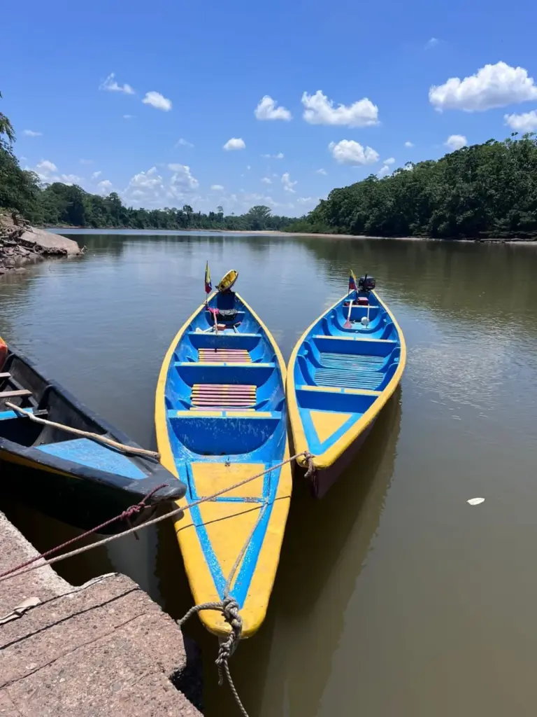 The Changing Landscape of Sacred Plant Medicine: Science, Policy, and Cultural Revival