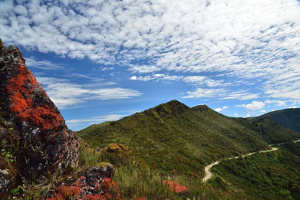Eagle and condor prophecy symbolism in the Colombian Andes mountains representing the unity of north and south consciousness