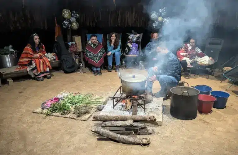 ayahuasca preparation