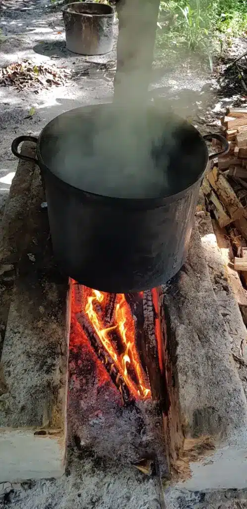 ayahuasca brew preparation 