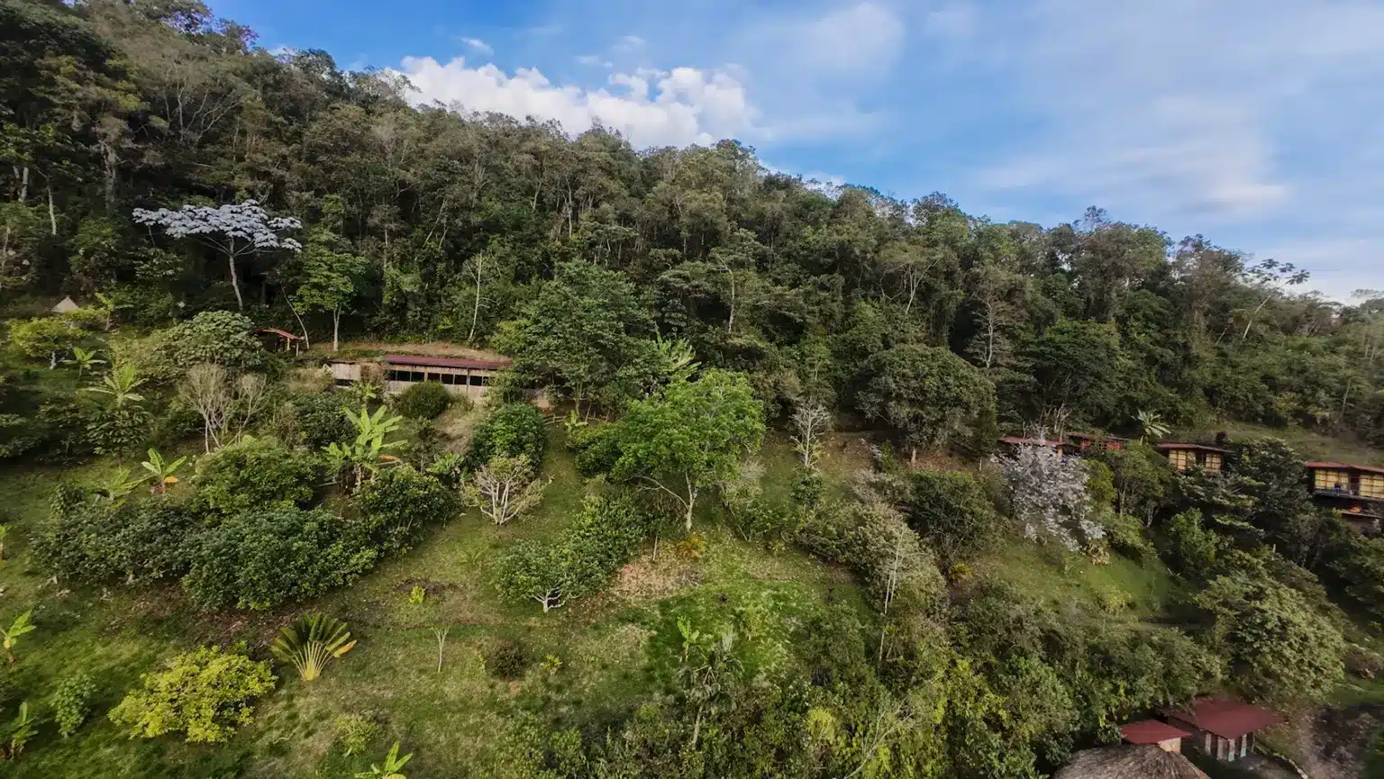 ayahuasca retreats in colombia vs peru vs costa rica